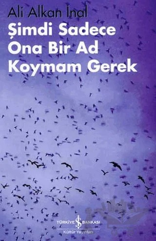 Şimdi Sadece Ona Bir Ad Koymam Gerek – Ali Alkan İnal – İş Bankası Kültür Yayınları kitap kapağı