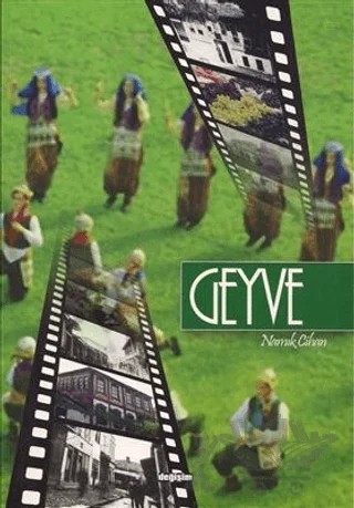 Geyve – Namık Cihan – Değişim Yayınları kitap kapağı