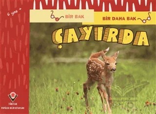 Çayırda - Bir Bak Bir Daha Bak – David M. Schwartz, Marilyn Marks – TÜBİTAK Yayınları kitap kapağı
