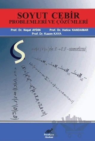 Soyut Cebir Problemleri ve Çözümleri – Hatice Kandamar, Kazım Kaya, Neşet Aydın – Paradigma Akademi Yayınları kitap kapağı