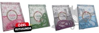 Çantaboy Özel Kutulu ve Tesbihli Yasin-i Şerif (H-55) – Kolektif – Haktan Yayınları kitap kapağı