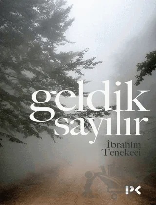 Geldik Sayılır – İbrahim Tenekeci – Profil Kitap kitap kapağı