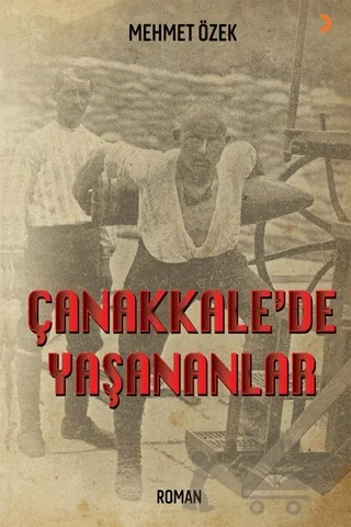 Çanakkale’de Yaşananlar – Mehmet Özek – Cinius Yayınları kitap kapağı