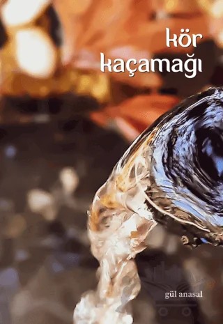 Kör Kaçamağı – Gül Anasal – Aydili Sanat Yayınları kitap kapağı