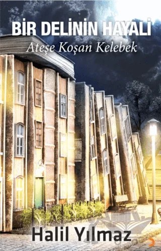 Bir Delinin Hayali – Halil Yılmaz – Cinius Yayınları kitap kapağı