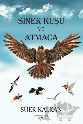 Sinek Kuşu ve Atmaca – Süer Kalkan – Sokak Kitapları Yayınları kitap kapağı