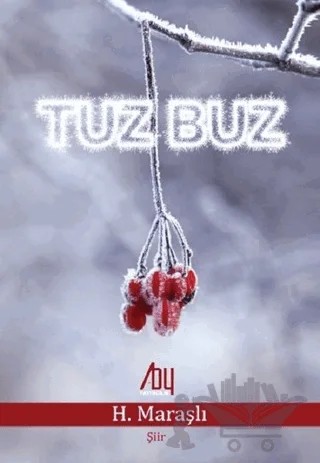 Tuz Buz – H. Maraşlı – Baygenç Yayıncılık kitap kapağı