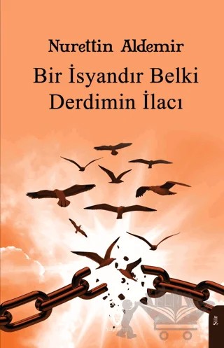 Bir İsyandır Belki Derdimin İlacı – Nurettin Aldemir – Dorlion Yayınları kitap kapağı