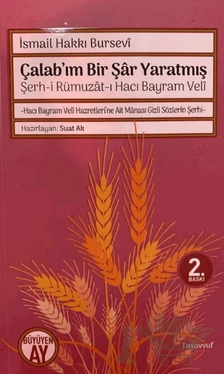 Şerh-i Rümuzat-ı Hacı Bayram Veli - Çalab’ım Bir Şar Yaratmış – İsmail Hakkı Bursevi – Büyüyen Ay Yayınları kitap kapağı