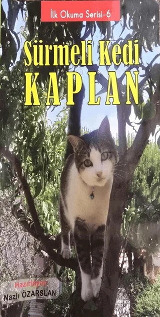 Sürmeli Kedi Kaplan – Nazlı Özarslan – Kalem Lügat Yayıncılık kitap kapağı
