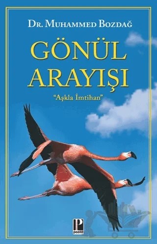 Gönül Arayışı – Muhammed Bozdağ – Pozitif Yayınları kitap kapağı