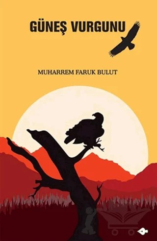 Güneş Vurgunu – Muharrem Faruk Bulut – P Kitap Yayıncılık kitap kapağı