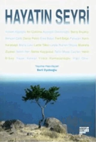 Hayatın Seyri – Beril Eyüboğlu – Pan Yayıncılık kitap kapağı