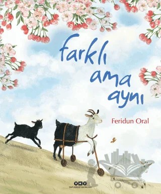 Farklı Ama Aynı – Feridun Oral – Yapı Kredi Yayınları kitap kapağı