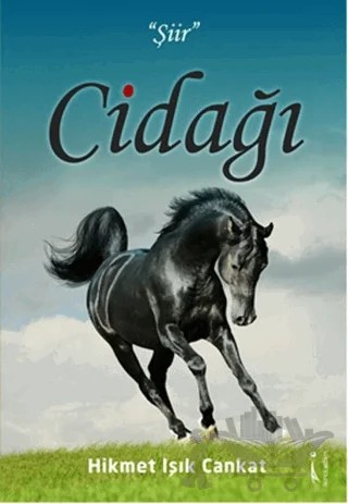 Cidağı – Hikmet Işık Cankat – İkinci Adam Yayınları kitap kapağı