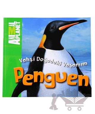 Vahşi Doğadaki Yaşamım: Penguen – Meredith Costain – Doğan Egmont Yayıncılık kitap kapağı