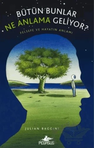 Bütün Bunlar Ne Anlama Geliyor? – Julian Baggini – Pegasus Yayınları kitap kapağı
