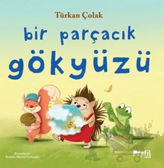 Bir Parçacık Gökyüzü – Türkan Çolak – Profil Çocuk kitap kapağı