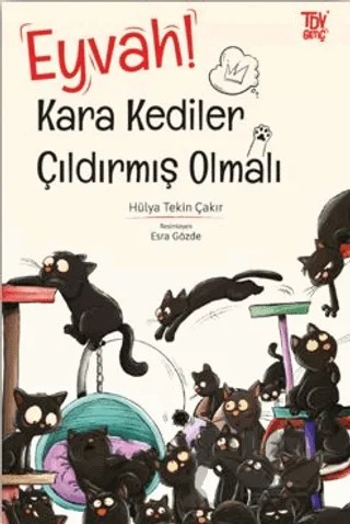 Eyvah Kara Kediler Çıldırmış Olmalı – Hülya Tekin Çakır – Türkiye Diyanet Vakfı Yayınları kitap kapağı
