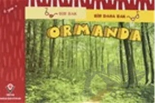 Bir Bak Bir Daha Bak - Ormanda – David M. Schwartz, Marilyn Marks – TÜBİTAK Yayınları kitap kapağı