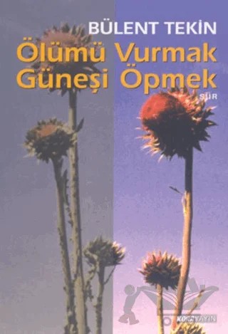 Ölümü Vurmak Güneşi Öpmek – Bülent Tekin – Kora Yayın kitap kapağı