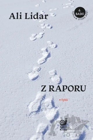Z Raporu – Ali Lidar – Sakin Kitap kitap kapağı