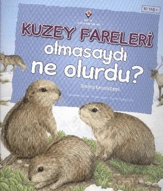 Kuzey Fareleri Olmasaydı Ne Olurdu? – Suzanne Slade – TÜBİTAK Yayınları kitap kapağı