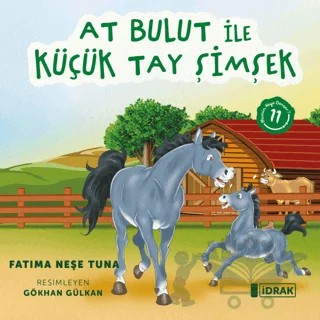 At Bulut ile Küçük Tay Şimşek – Fatıma Neşe Tuna – İdrak Yayınları kitap kapağı