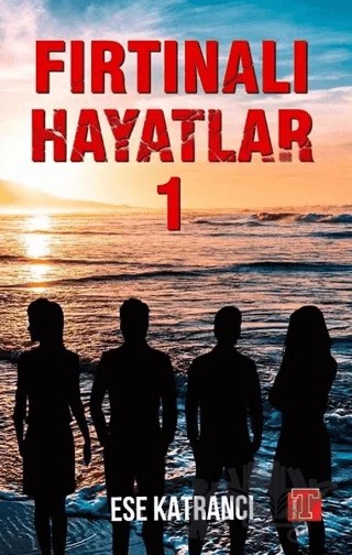Fırtınalı Hayatlar 1 – Ese Katrancı – Toplumsal Kitap kitap kapağı