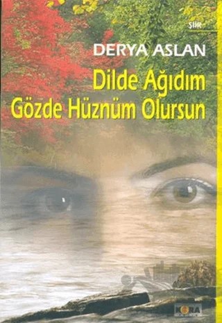 Dilde Ağıdım Gözde Hüznüm Olursun – Derya Aslan – Kora Yayın kitap kapağı