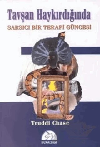 Tavşan Haykırdığında Sarsıcı Bir Terapi Güncesi – Truddi Chase – Kuraldışı Yayınevi kitap kapağı