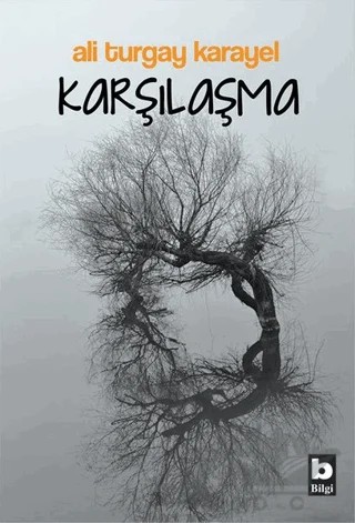 Karşılaşma – Ali Turgay Karayel – Bilgi Yayınevi kitap kapağı