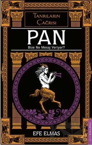 Pan Bize Ne Mesaj Veriyor? – Efe Elmas – Destek Yayınları kitap kapağı