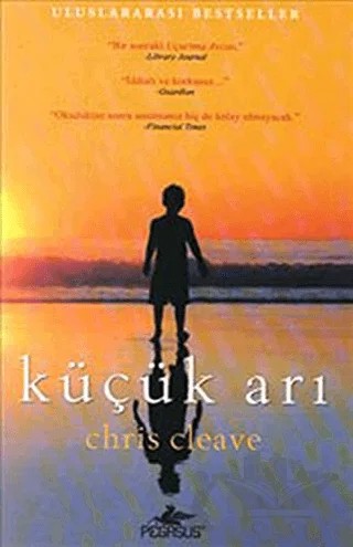 Küçük Arı – Chris Cleave – Pegasus Yayınları kitap kapağı