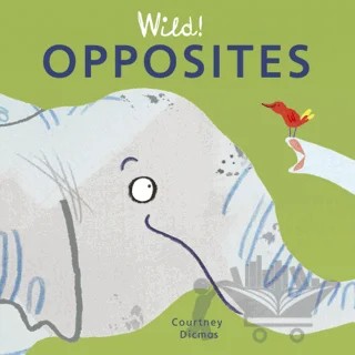 Opposites – Courtney Dicmas – Child's Play kitap kapağı