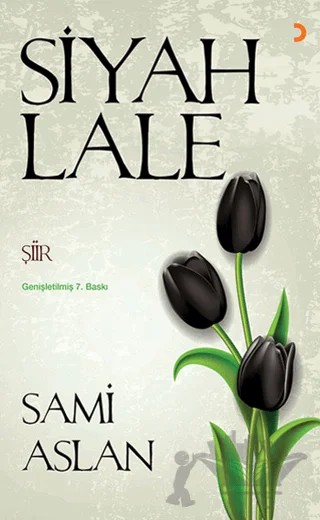 Siyah Lale – Sami Aslan – Cinius Yayınları kitap kapağı