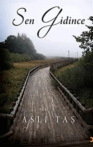Sen Gidince – Aslı Taş – Cinius Yayınları kitap kapağı