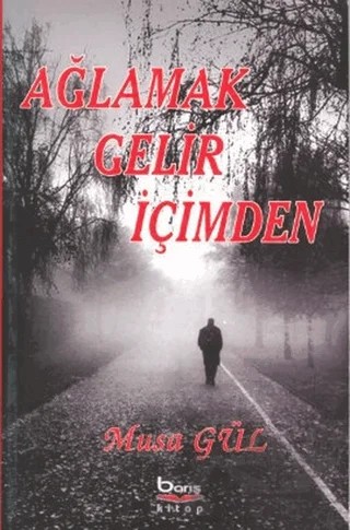 Ağlamak Gelir İçimden – Musa Gül – Barış Kitap kitap kapağı