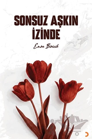 Sonsuz Aşkın İzinde – Emre Biricik – Cinius Yayınları kitap kapağı