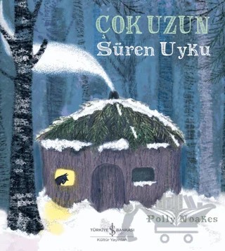 Çok Uzun Süren Uyku – Polly Noakes – İş Bankası Kültür Yayınları kitap kapağı