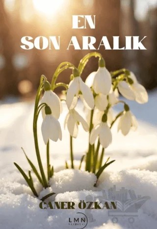 En Son Aralık – Caner Özkan – Liman Yayınevi kitap kapağı