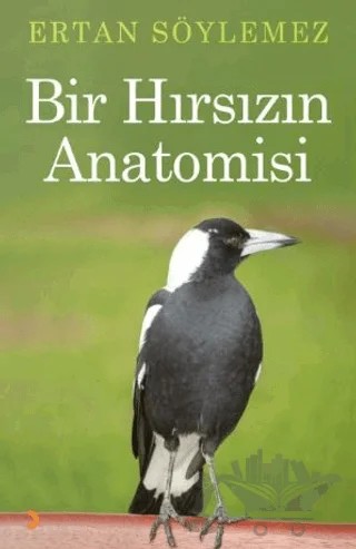 Bir Hırsızın Anatomisi – Ertan Söylemez – Cinius Yayınları kitap kapağı