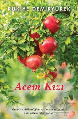 Acem Kızı – Rukiye Demiryürek – Cinius Yayınları kitap kapağı