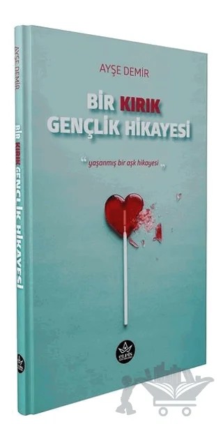 Bir Kırık Gençlik Hikayesi – Ayşe Demir – Elpis Yayınları kitap kapağı