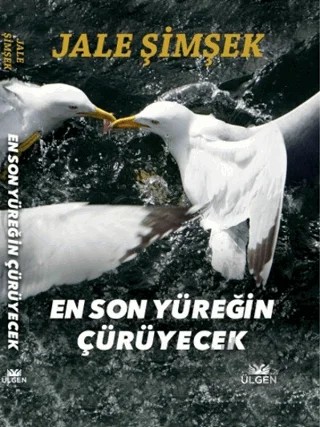 En Son Yüreğin Çürüyecek – Jale Şimşek – Ülgen Yayınları kitap kapağı