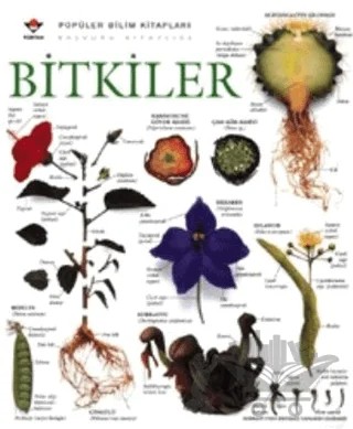 Bitkiler – Kolektif – TÜBİTAK Yayınları kitap kapağı