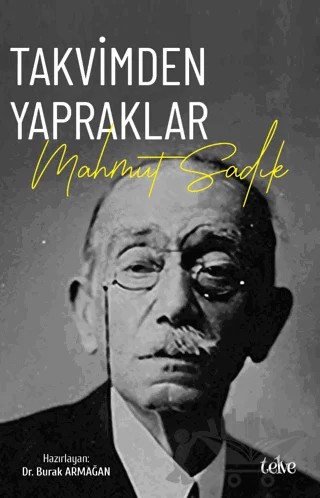 Takvimden Yapraklar – Mahmut Sadık – Telve Kitap kitap kapağı