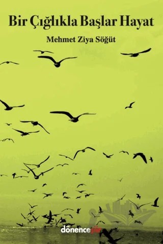 Bir Çığlıkla Başlar Hayat – Mehmet Ziya Söğüt – Dönence Basım ve Yayın Hizmetleri kitap kapağı