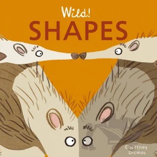 Shapes – Courtney Dicmas – Child's Play kitap kapağı