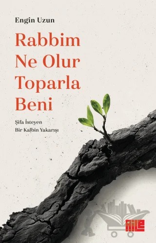 Rabbim Ne Olur Toparla Beni – Engin Uzun – Aile Yayınları kitap kapağı